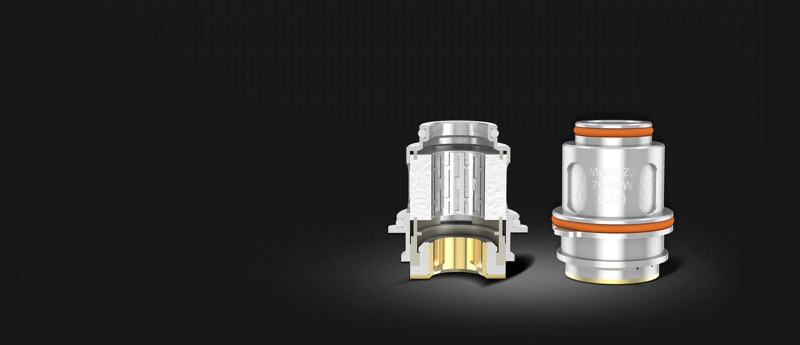 Kit Aegis Max - Resistance